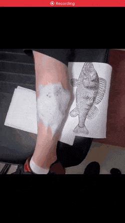 Acid Gifdump, January 24 (25 gifs)