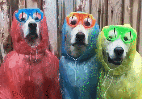 Acid Gifdump, January 24 (25 gifs)