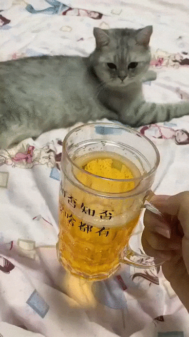 Acid Gifdump, January 24 (25 gifs)