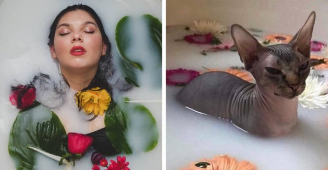 Only Women Will Understand (21 pics) Only Women Will Understand (21 pics)