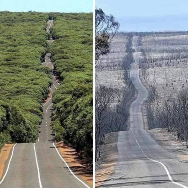 Every Photo Has A Story (21 pics)