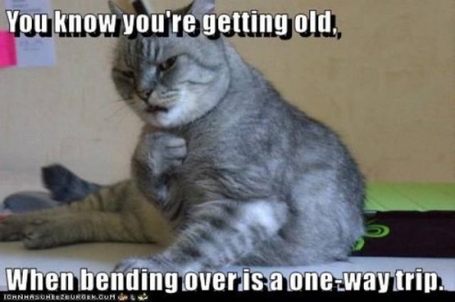 You're Getting Old (31 pics)