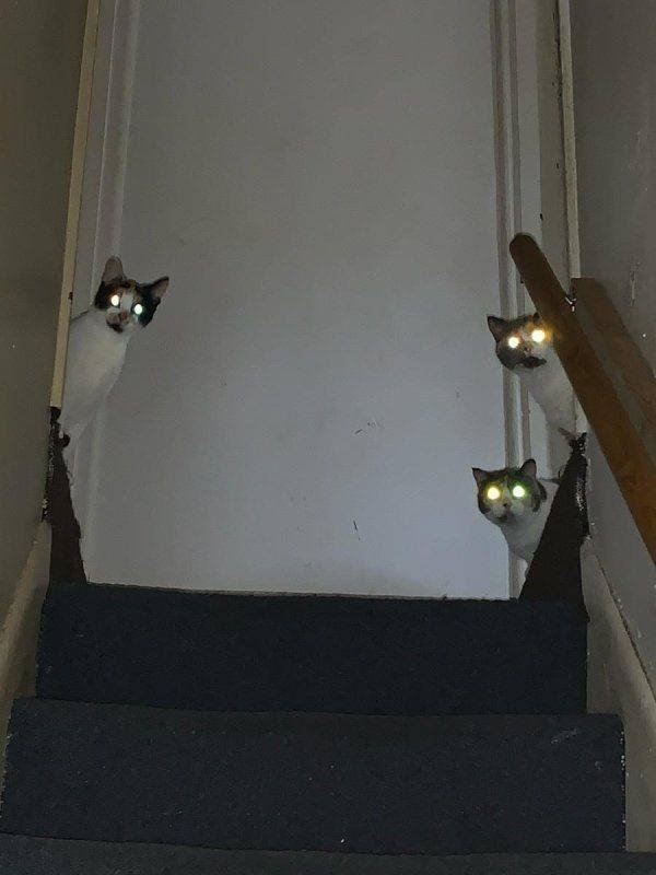 Acid Picdump. Part 1 (100 pics)