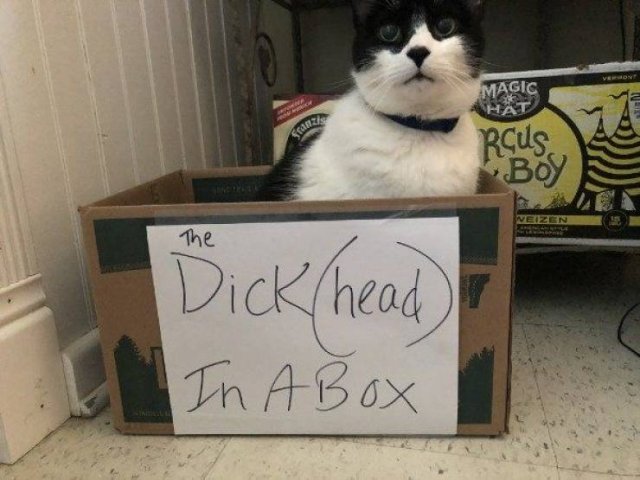 Acid Picdump. Part 1 (100 pics)