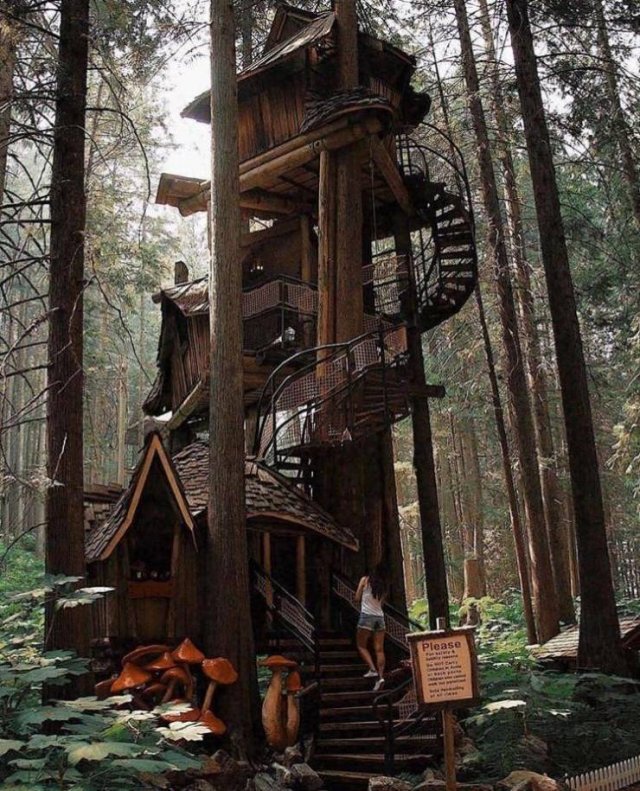 Acid Picdump. Part 1 (100 pics)