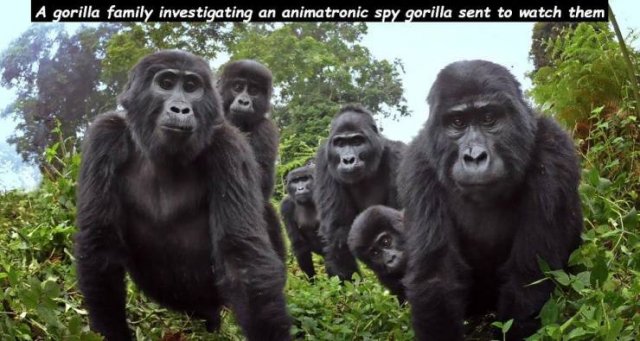 Acid Picdump. Part 1 (100 pics)