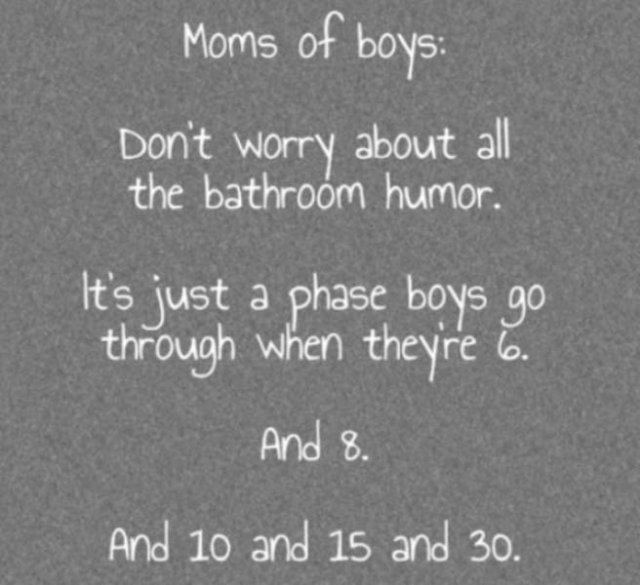 Raising Boys Memes (26 pics)