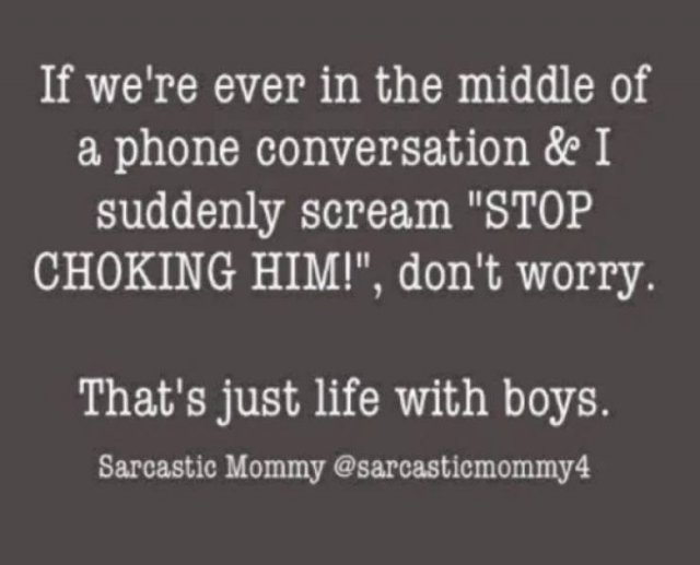 Raising Boys Memes (26 pics)