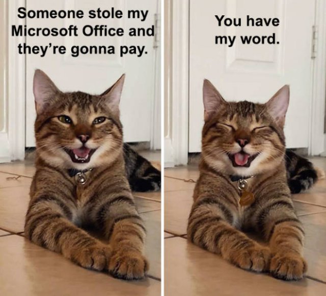 Joking Cat (22 pics)