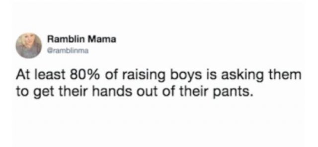 Raising Boys Memes (26 pics)