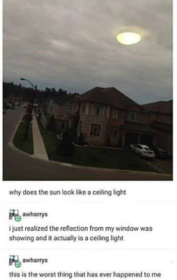 Dumb Comments (18 pics)