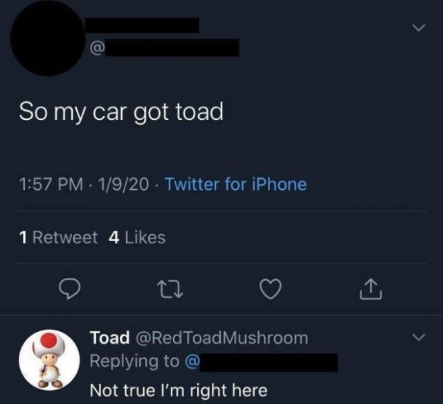 Dumb Comments (18 pics)