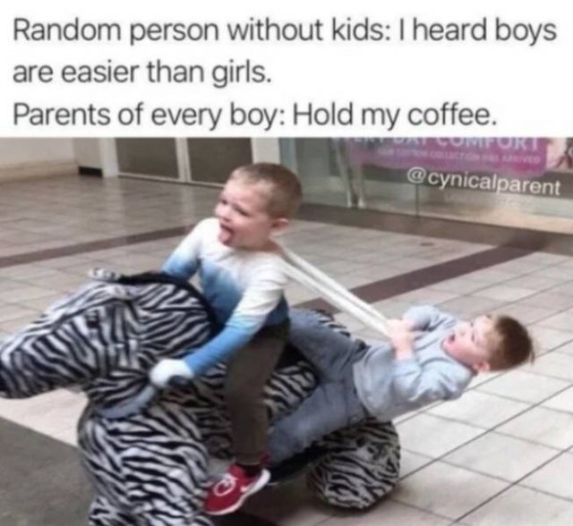 Raising Boys Memes (26 pics)