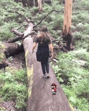 Super Mario Bros In Real Life (16 gifs)