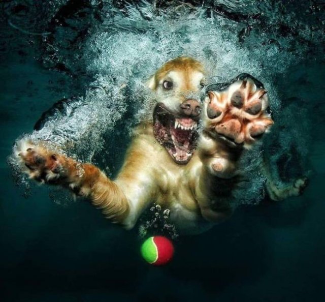 Acid Picdump. Part 1 (75 pics)