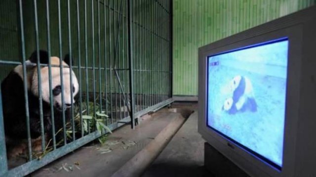 Acid Picdump. Part 1 (75 pics)