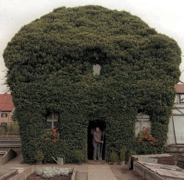 Acid Picdump. Part 1 (75 pics)