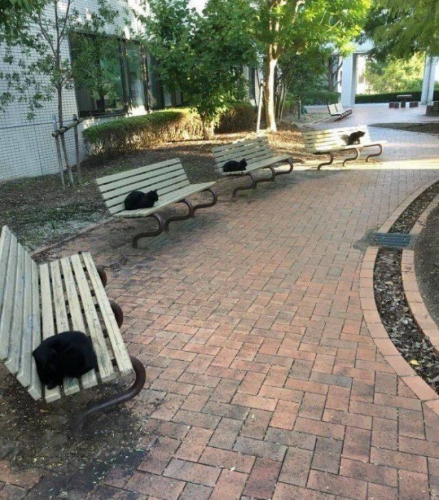 Acid Picdump. Part 1 (75 pics)