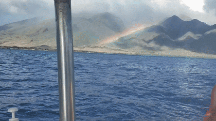 Acid Gifdump, January 27 (25 gifs)