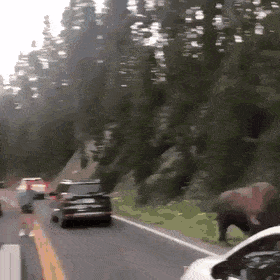 Acid Gifdump, January 27 (25 gifs)
