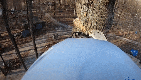 Acid Gifdump, January 27 (25 gifs)