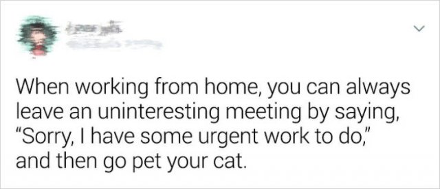Funny Stories (17 pics)