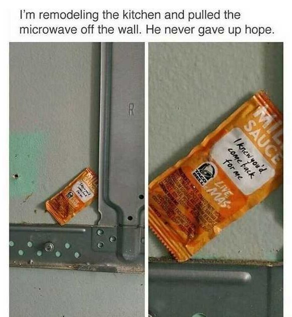 What You May Find In Your Home (28 pics)