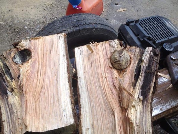 What You May Find In Your Home (28 pics)