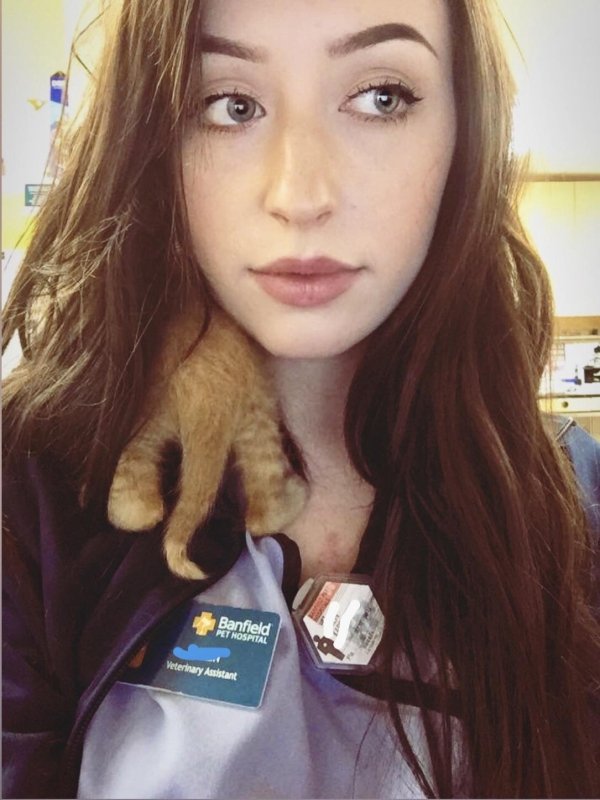 Work Happens (40 pics)