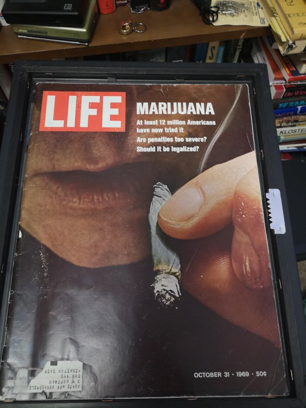 What You May Find In Your Home (28 pics)