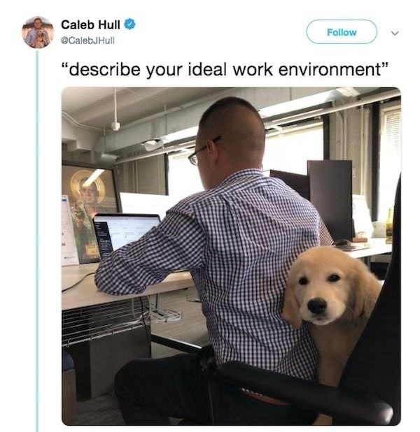 Work Happens (40 pics)