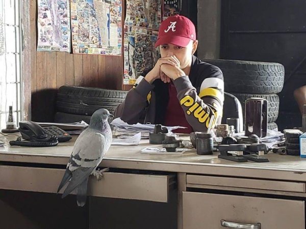 Work Happens (40 pics)