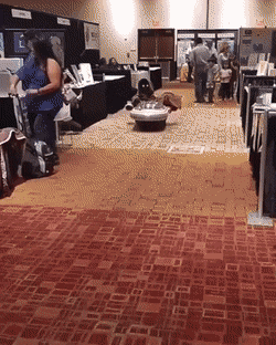 Acid Gifdump, January 28 (25 gifs)