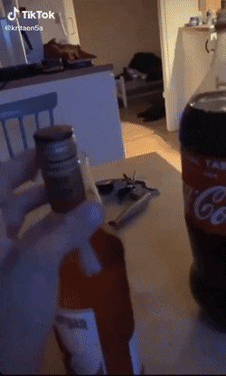 Acid Gifdump, January 28 (25 gifs)