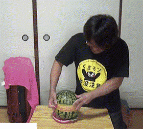 Acid Gifdump, January 28 (25 gifs)