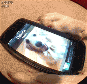 Acid Gifdump, January 28 (25 gifs)