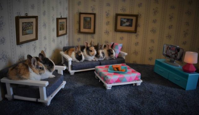 Acid Picdump. Part 2 (97 pics)