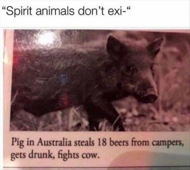 Acid Picdump. Part 2 (97 pics)