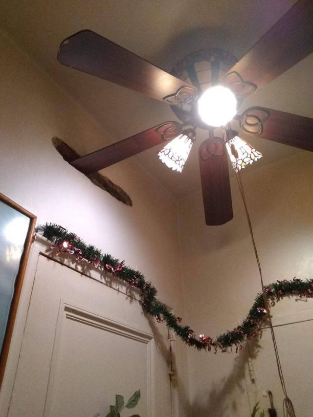 Acid Picdump. Part 2 (97 pics)