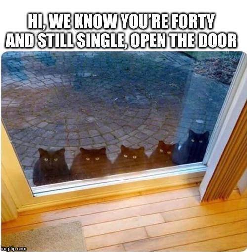 Acid Picdump. Part 2 (97 pics)