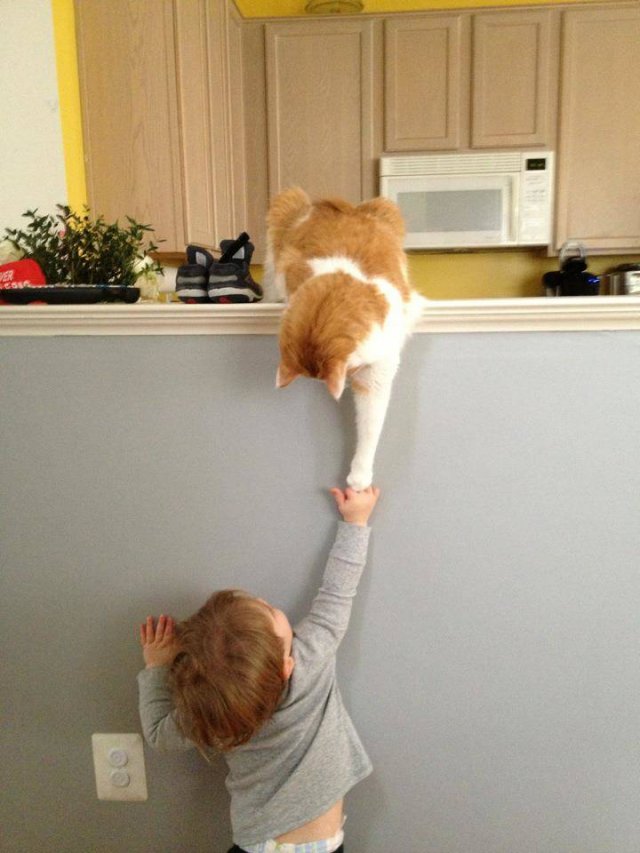 Acid Picdump. Part 2 (97 pics)