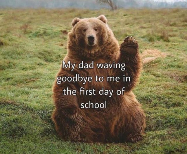 Memes Full Of Wholesomeness (40 pics)