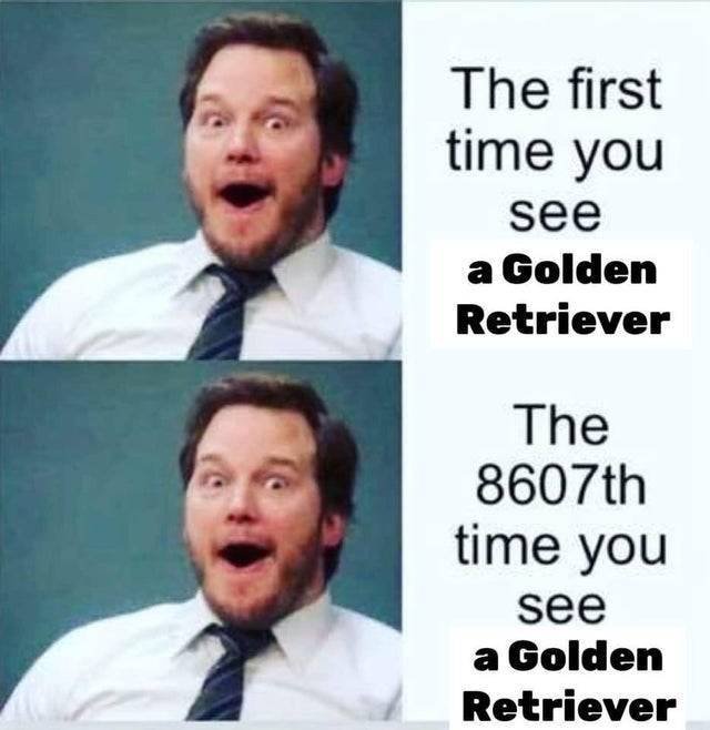 Memes Full Of Wholesomeness (40 pics)