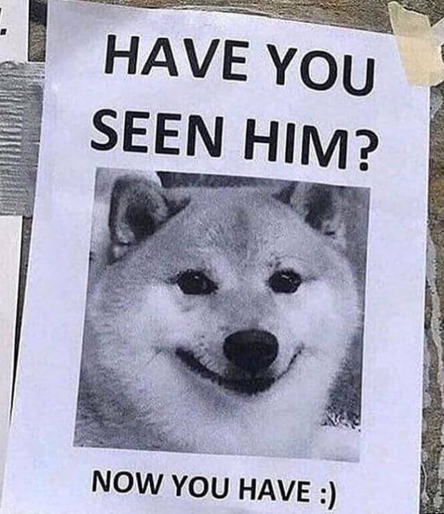 Memes Full Of Wholesomeness (40 pics)