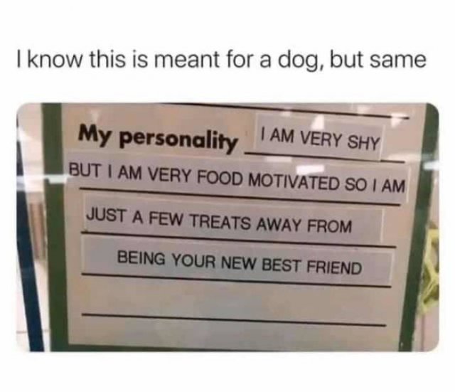 Memes Full Of Wholesomeness (40 pics)