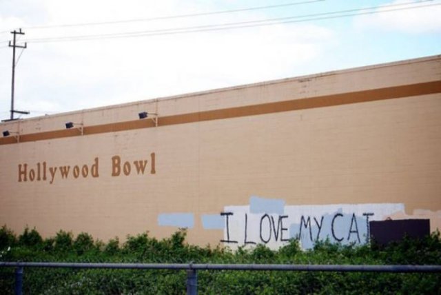 Polite Graffiti (30 pics)