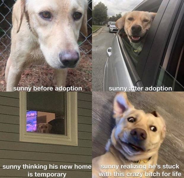 Memes Full Of Wholesomeness (40 pics)