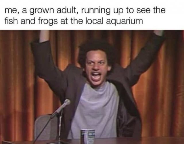 Memes Full Of Wholesomeness (40 pics)
