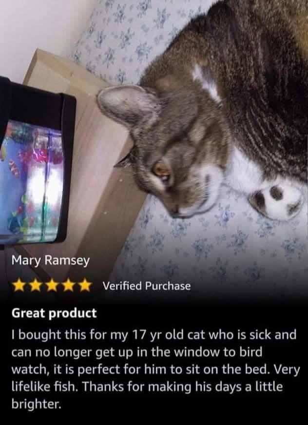 Memes Full Of Wholesomeness (40 pics)