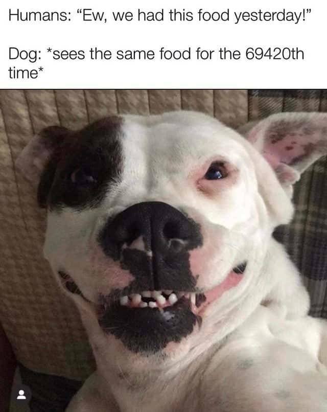 Memes Full Of Wholesomeness (40 pics)